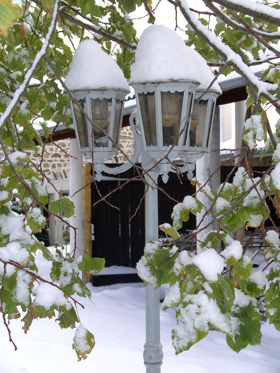 Вилла Cellier De La Fontaine Saint-Georges-en-Couzan Номер фото